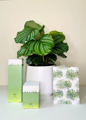 Green Goodness Gift Pack