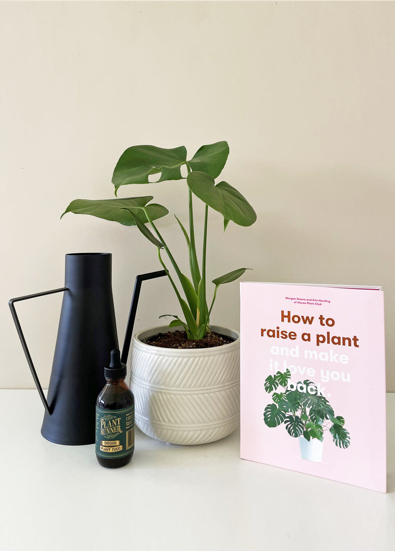 Plant Introduction Gift Pack