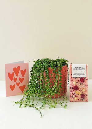 Pretty in Pink Gift Pack