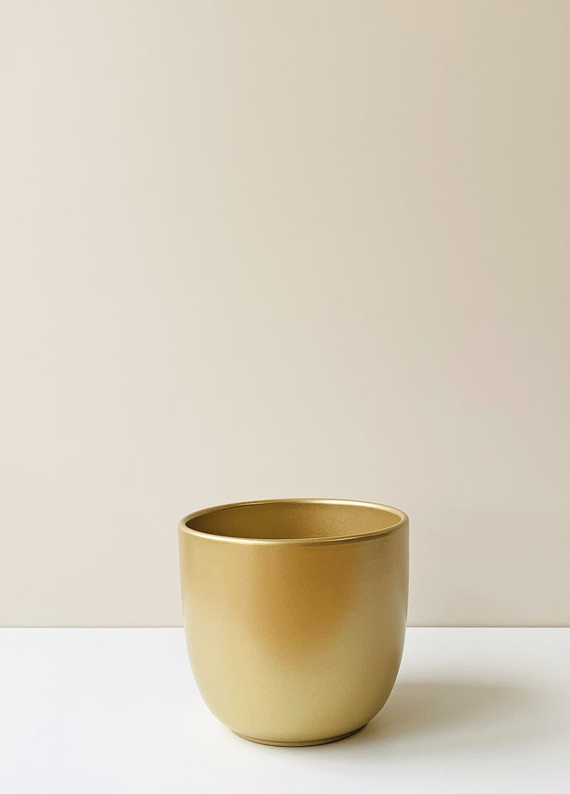 Tusca Gold Ceramic Planter