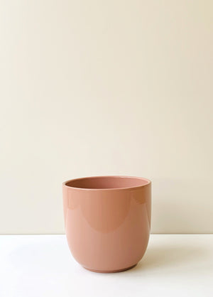 Tusca Rose Ceramic Planter