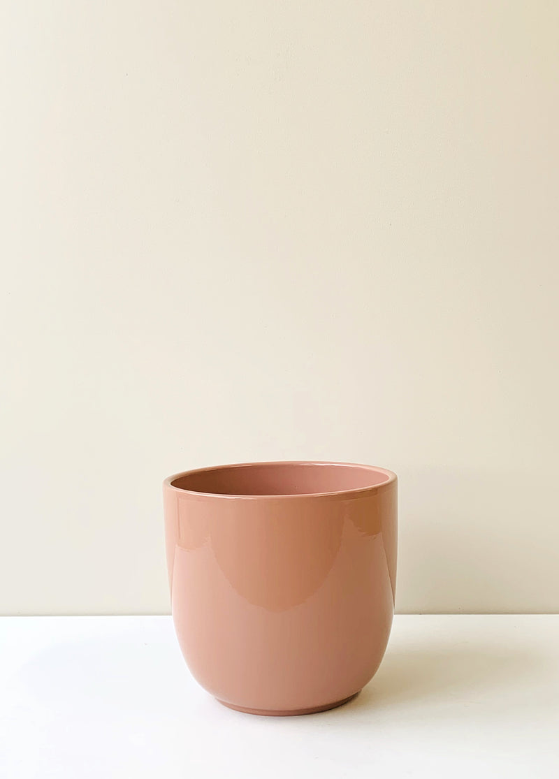 Tusca Rose Ceramic Planter