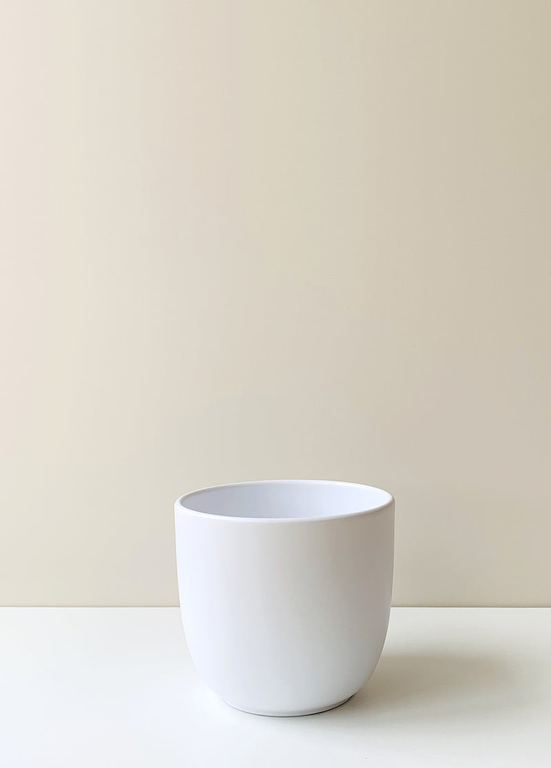 Tusca White Ceramic Planter